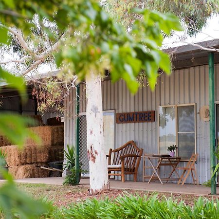 Peppertree Farm Mudgee Villa Eksteriør bilde