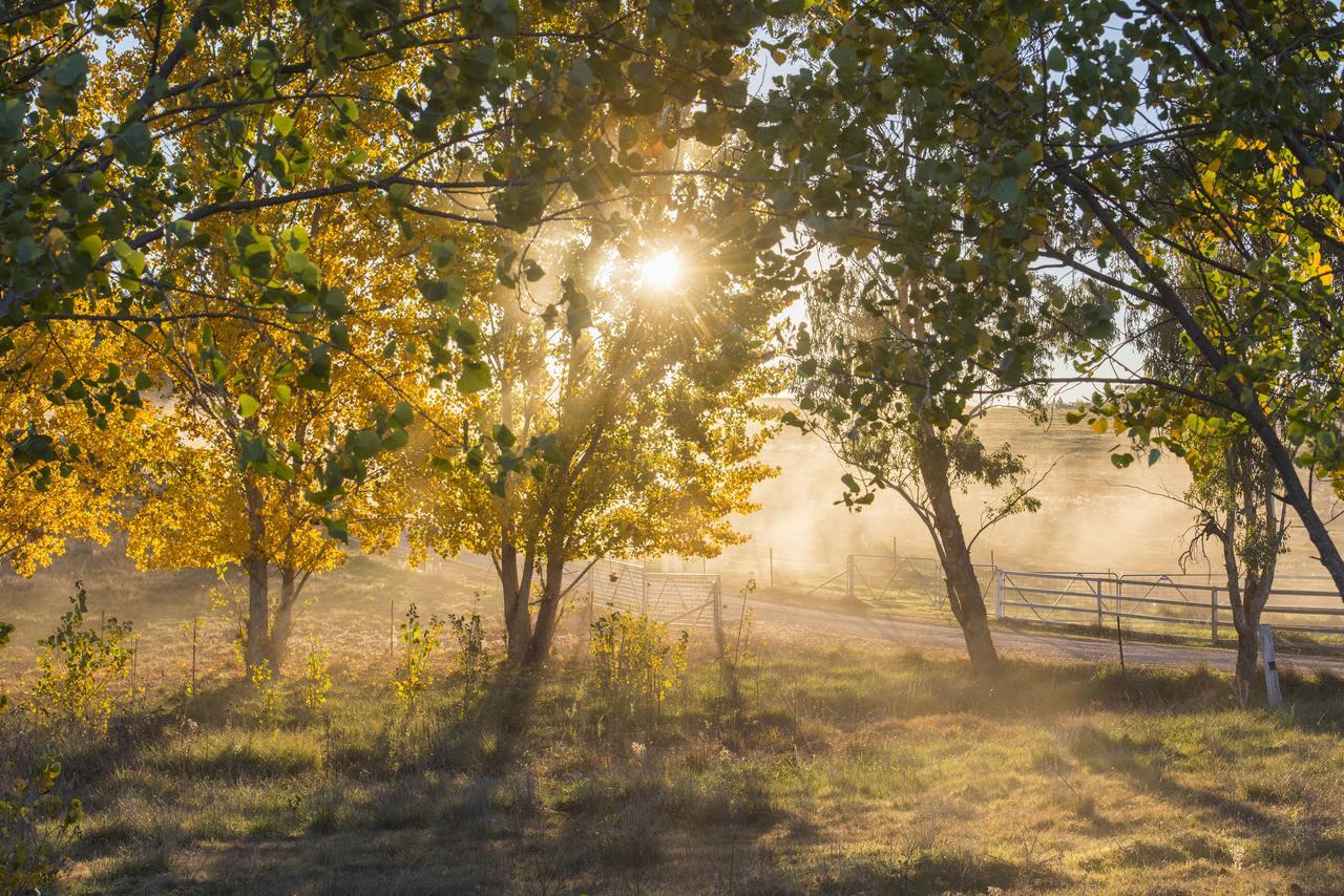 Peppertree Farm Mudgee Villa Eksteriør bilde